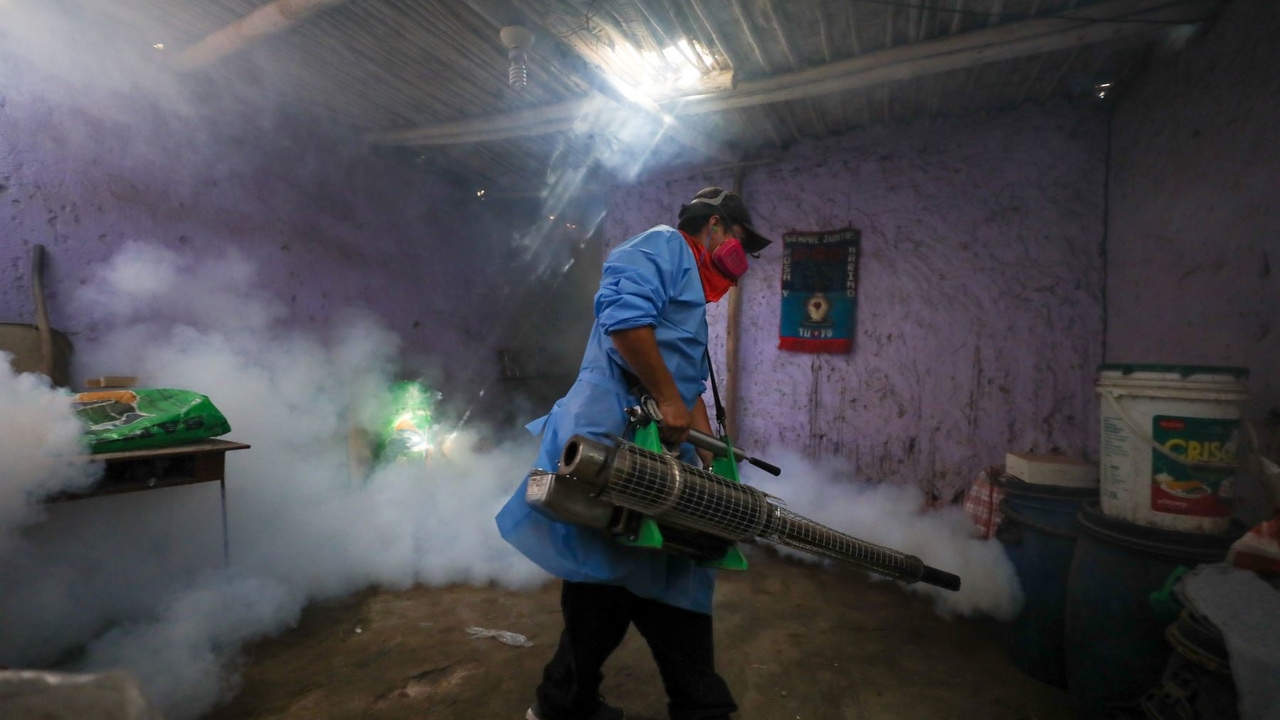 Photo of Perú declara emergencia sanitaria por repunte de casos de dengue – Oncenoticias