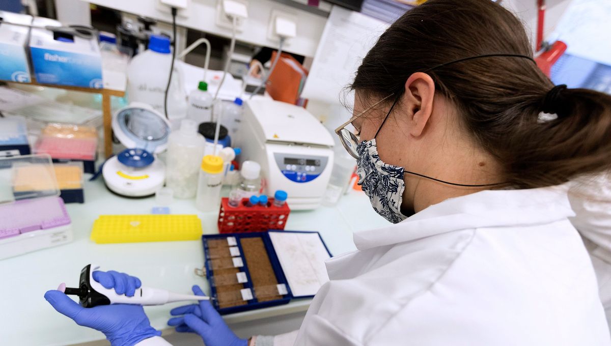 Cancer : avancées de la recherche en biopsie liquide, intelligence artificielle et anticorps – Observatoire Qatar