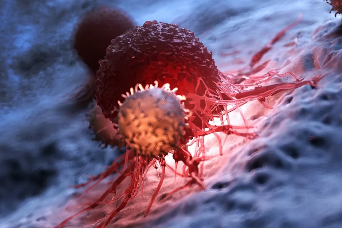 Diseñan un super linfocito T que potencia por cien su capacidad para atacar cánceres incurables – Mr. Codigo
