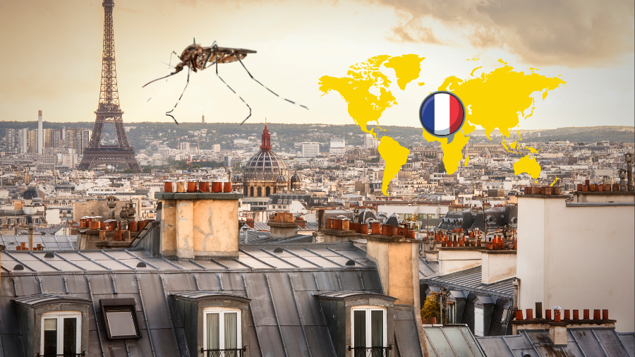 18 de septiembre de 2023. 7 nuevos casos de dengue autóctono en Francia – Mr. Codigo