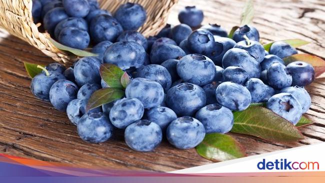 Fakta Menarik Tentang Warna Asli Blueberry yang Tidak Biru!