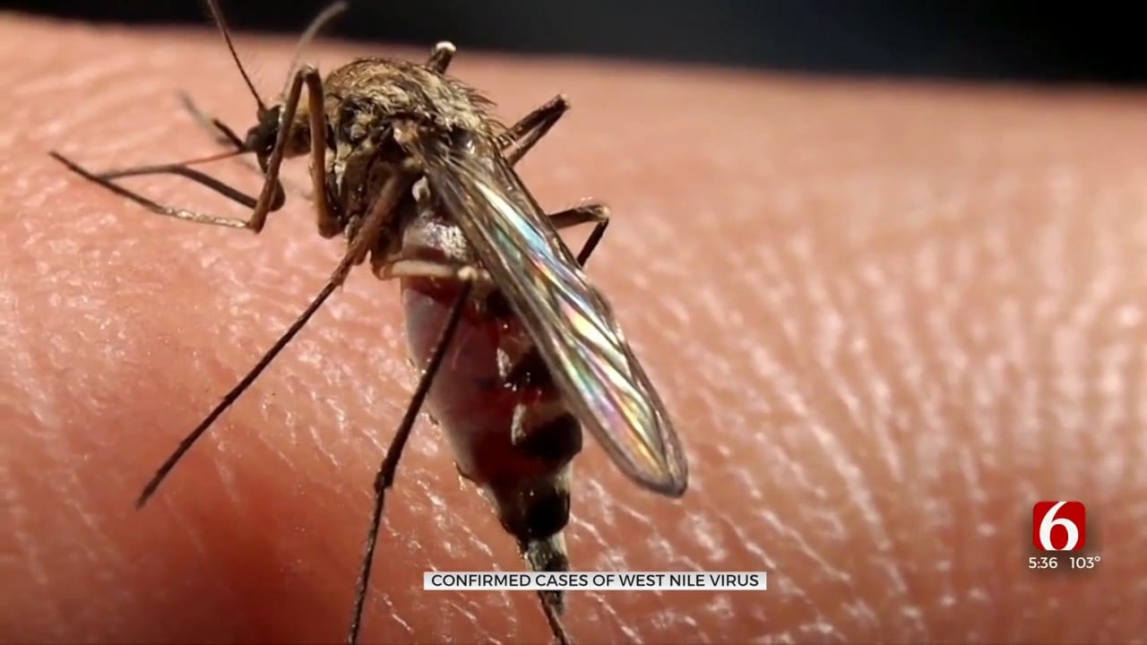 Four Human Cases of West Nile Virus Confirmed in Oklahoma, Urgent Caution Advised