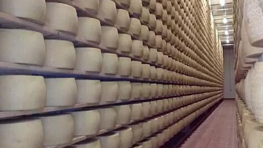 Photo of Muere un empresario italiano al ser aplastado por 25.000 quesos Grana Padano