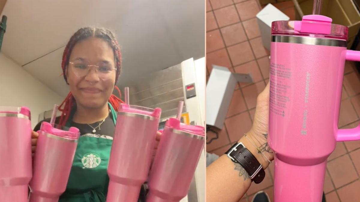 Restocking the Sold-Out Stanley Tumblers: Updates from Starbucks – The Daily Guardian