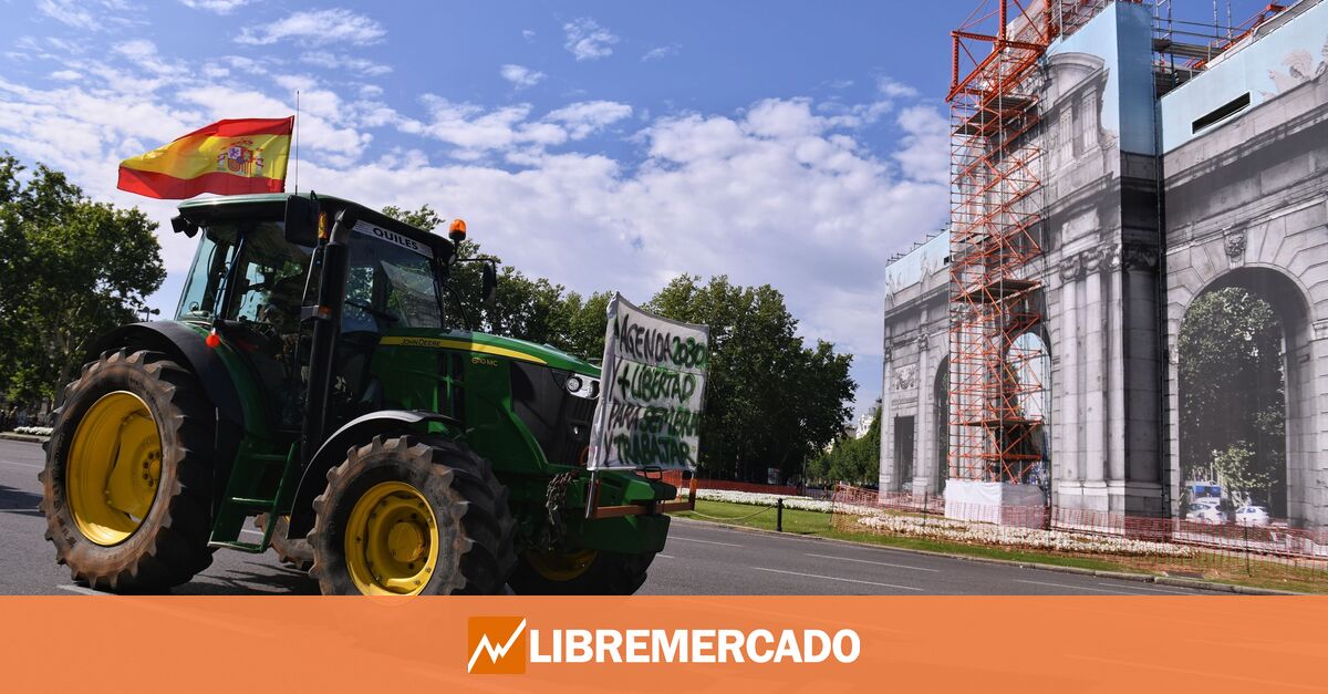 Los agricultores anticipan protestas contundentes en España por el colapso del campo – Over Karma