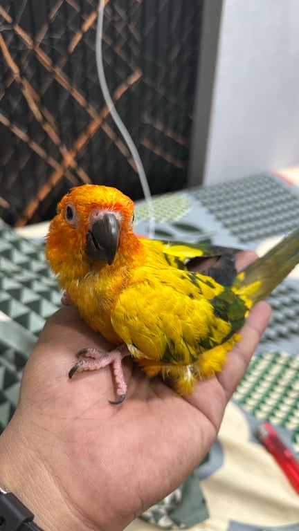 #Taurus #Motorcycles #Anime #Nightlife #Fashion #Serious_Relationship