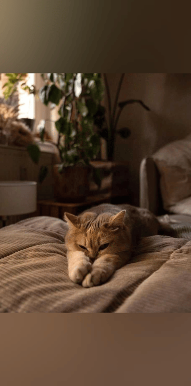 #Scorpio #Easygoing #Caring #Imaginative #Foodie #Up_for_anything