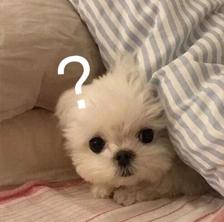 #Sagittarius #Dog_lover #Green_tea #Photography #Travel #Nightlife