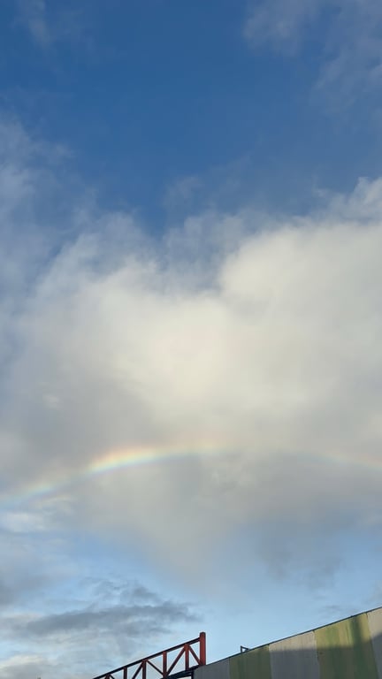 #Pisces #Cat_lover #Easygoing #Caring #Foodie #Kpop