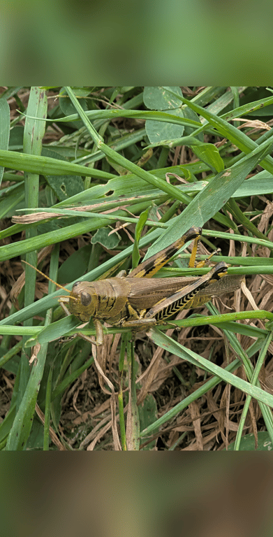 #Aries #Dog_lover #Acoustic_Music #Guitar_Player #Gamer #Travel