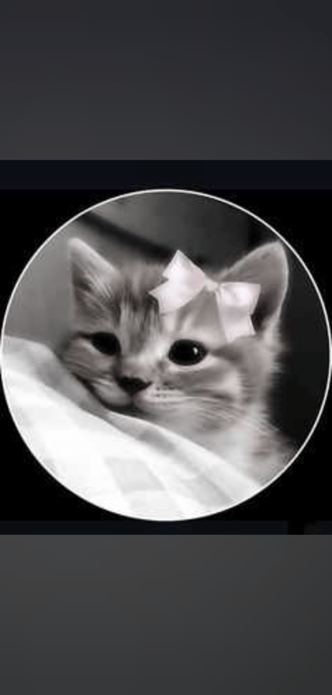 #Virgo #Street_Food #Coffee_addict #Boba_tea #Table_Tennis #LGBTQ_Rights