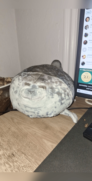 #Cancer #Cat_lover #Easygoing #Highly_sensitive