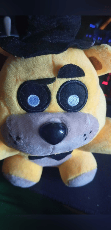 #Sagittarius #Cat_lover #Dog_lover #Working_out #LoL