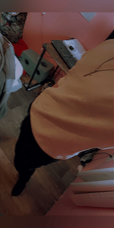 #Aries #Easygoing #Working_out #Outdoors