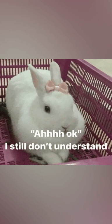 #Gemini #Cat_lover #Foodie #Boba_tea #Reading #Homebody