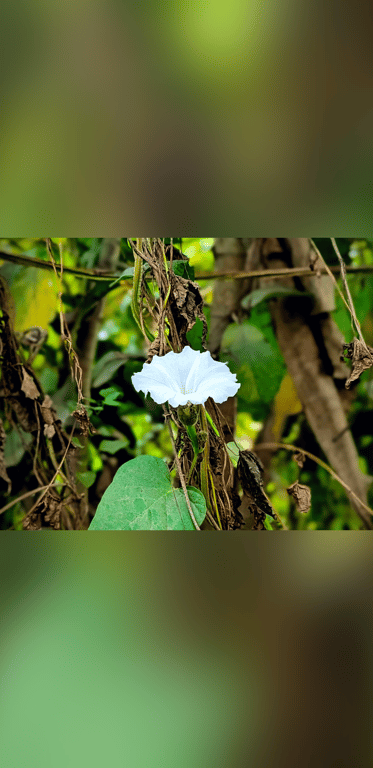 #Sagittarius #Cat_lover #Sentimental #Highly_sensitive #Caring #Serious_Relationship