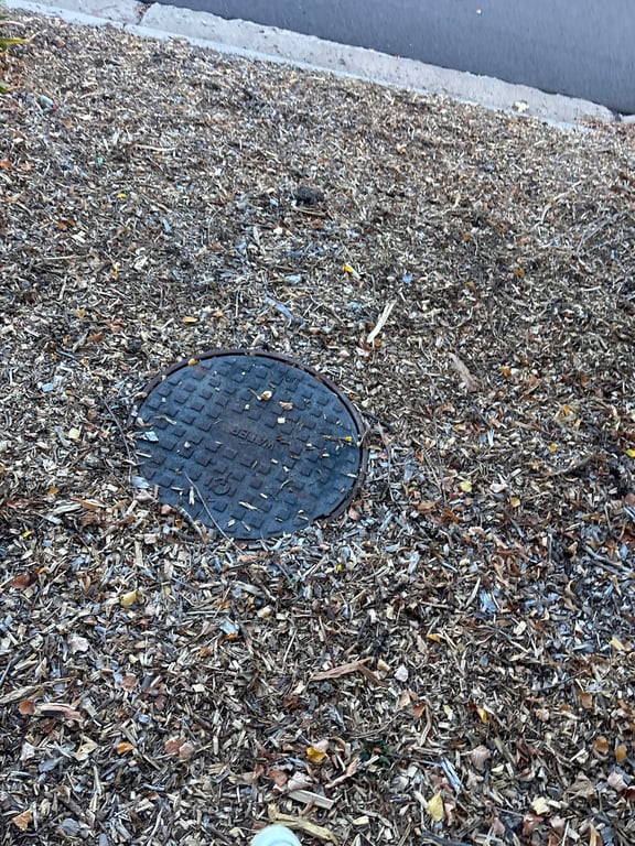 #Sagittarius #Cat_lover #Dog_lover #Easygoing #Foodie #BBQ