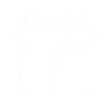 Promo Icon