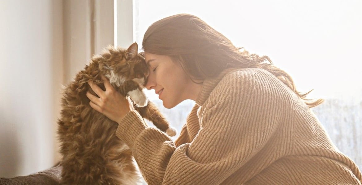 In the Quiet, My Cat Heard Me