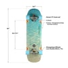 Loaded Bolsa II C7 Surfskate Complete Infographic