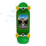 DStreet Cruiser Wilderness Complete Graphic