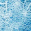 Croc Blauw