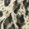Panter