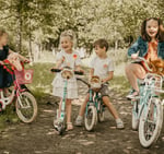 Wild And Soft Dierenkopjes