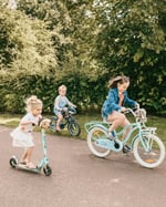 Wild And Soft Egel, Blauwe Haai en Olifant