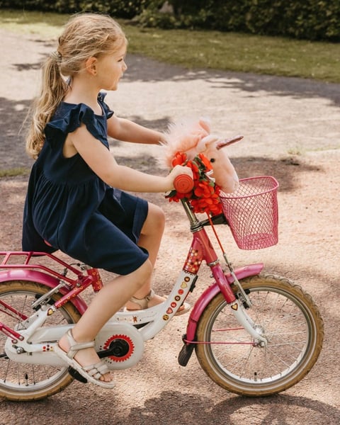 Wild And Soft Roze Eenhoorn op een fiets