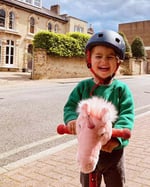 Wild And Soft Roze Eenhoorn op een stepje