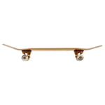 BTFL Gold EDT. 8.125" – Skateboard Complete 2