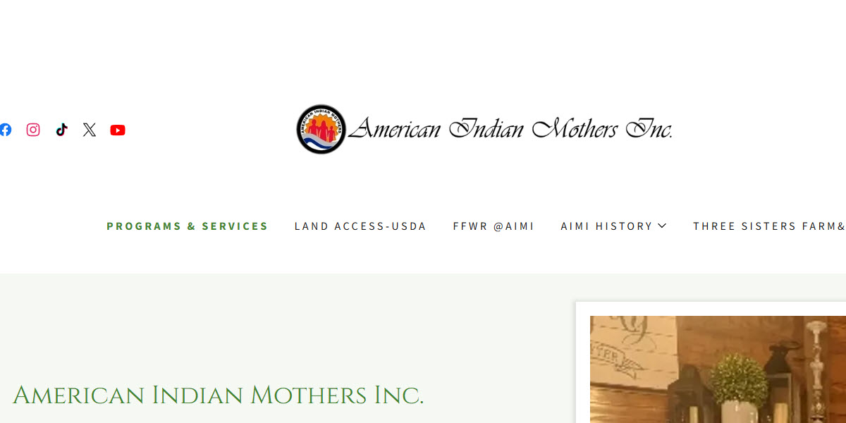 American Indian Mothers Inc.