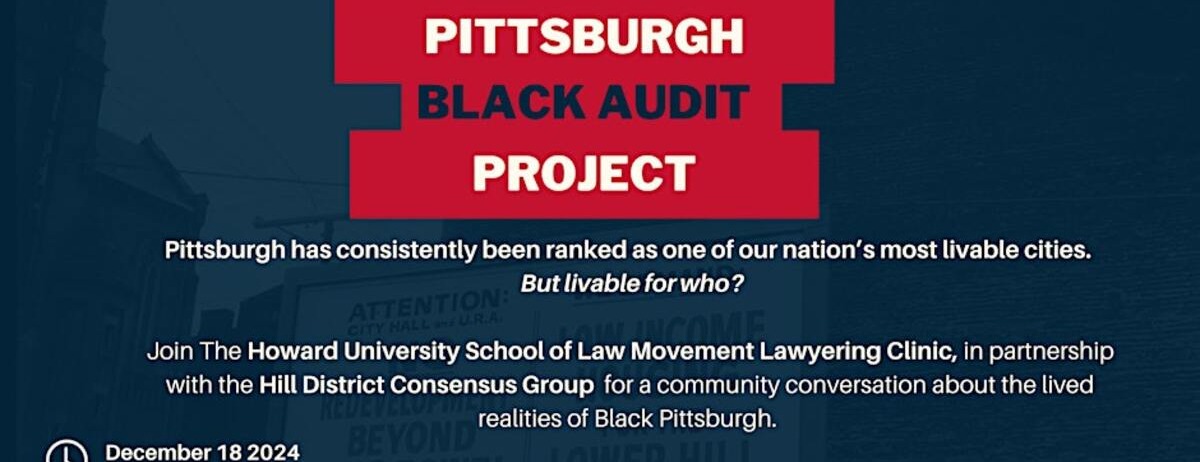Black Audit Project -  industry in Pittsburgh PA