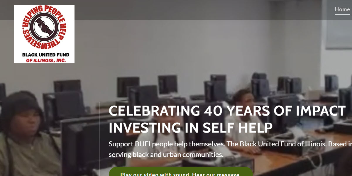 Black United Fund of Illinois, Inc cover image