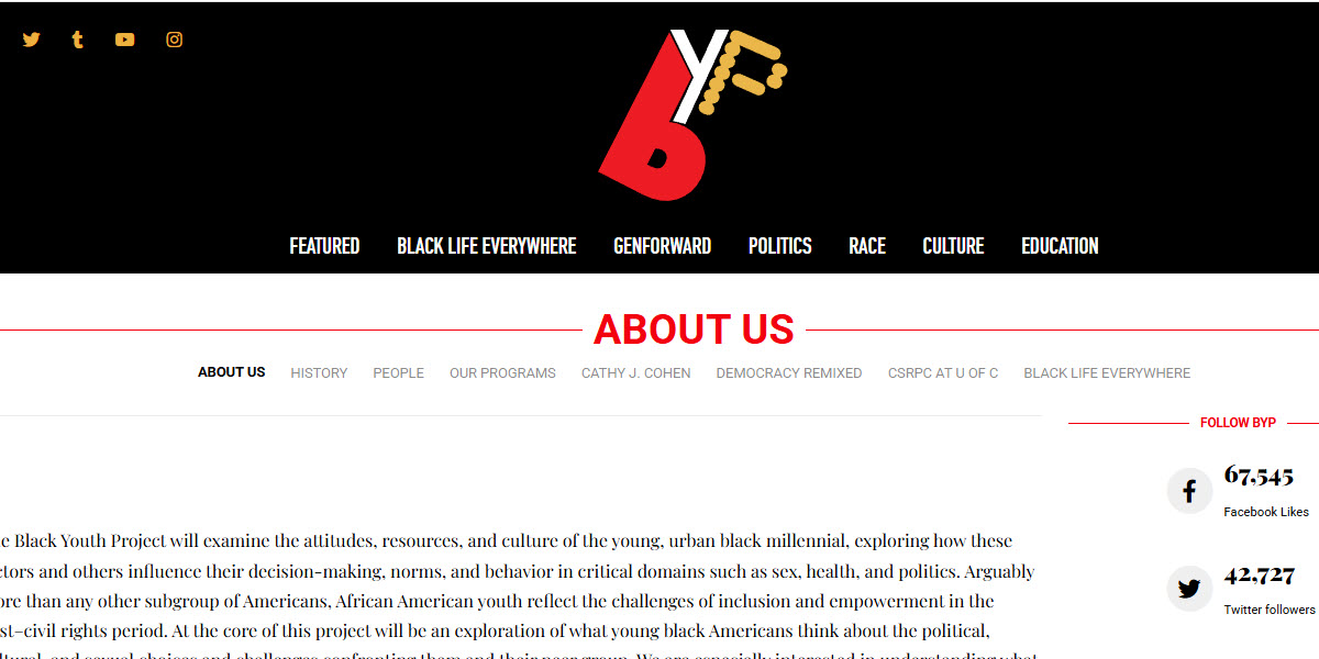 Black Youth Project cover image