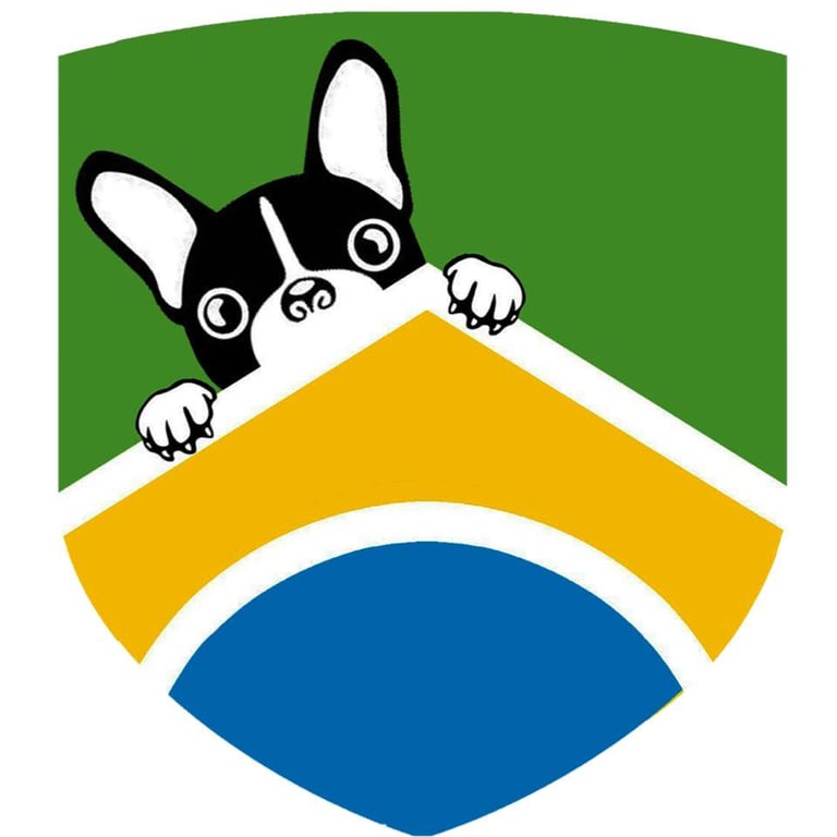 Boston University Brazilian Association -  industry in Boston MA