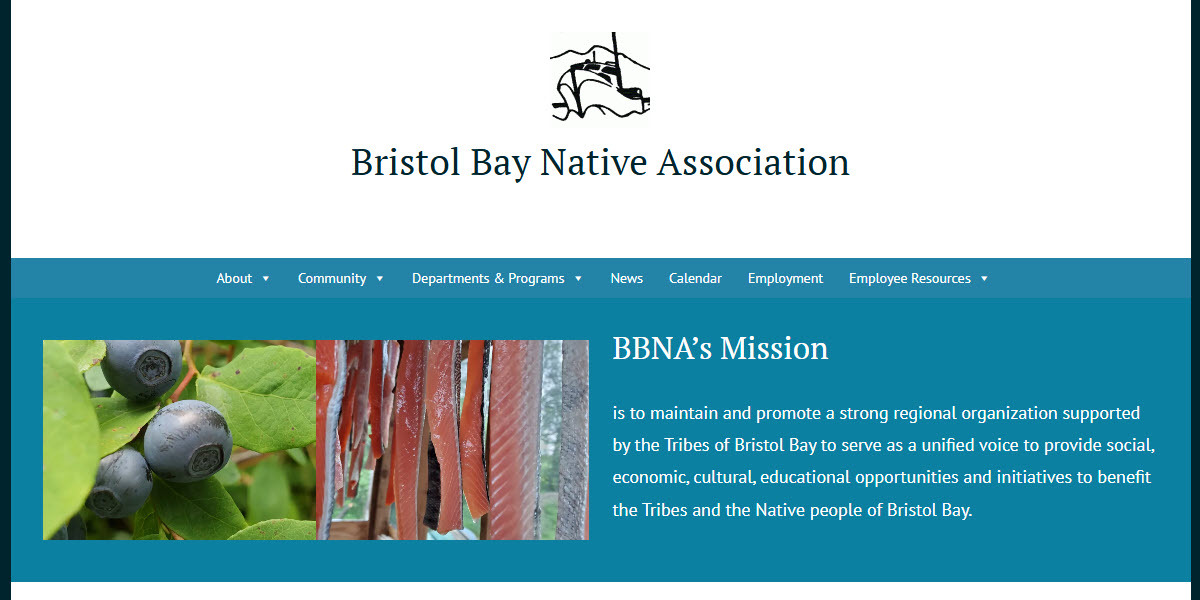 Bristol Bay Native Association -  industry in Dillingham AK