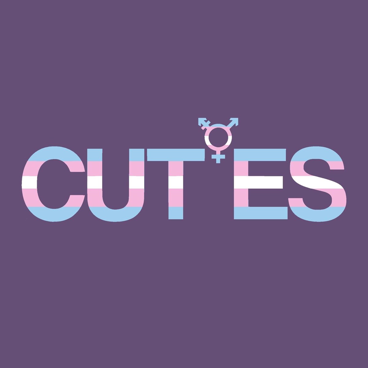 Campus Union for Trans Equality and Support at UIUC