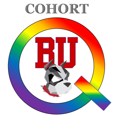 Cohort Q at BU -  industry in Boston MA