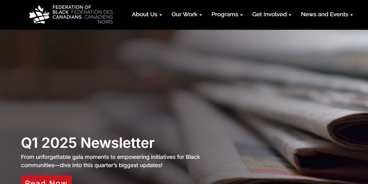 Federation of Black Canadians cover image