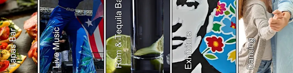 Fiesta del Sol Festival -  industry in McLean VA