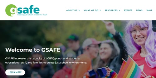 Gay Straight Alliance for Safe Schools -  industry in Madison WI