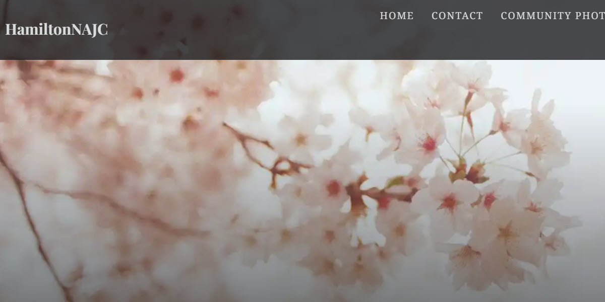 Hamilton Chapter of the National Association of Japanese Canadians cover image