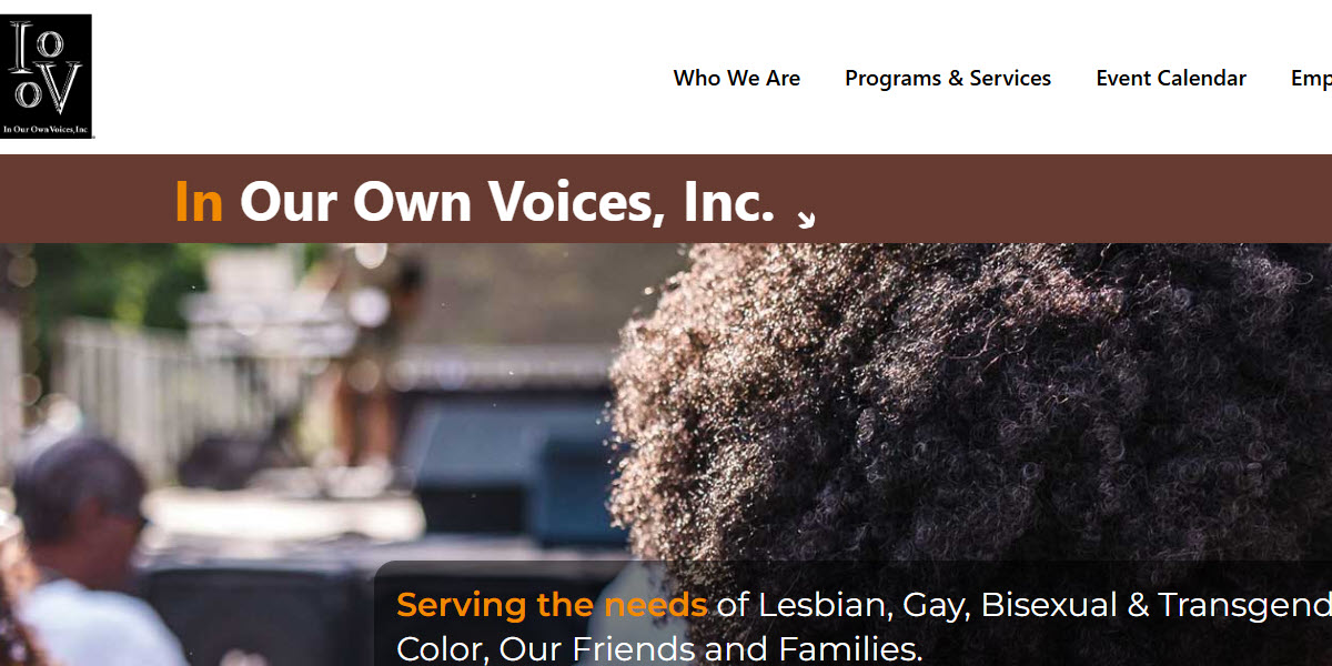 In Our Own Voices, Inc. -  industry in Albany NY