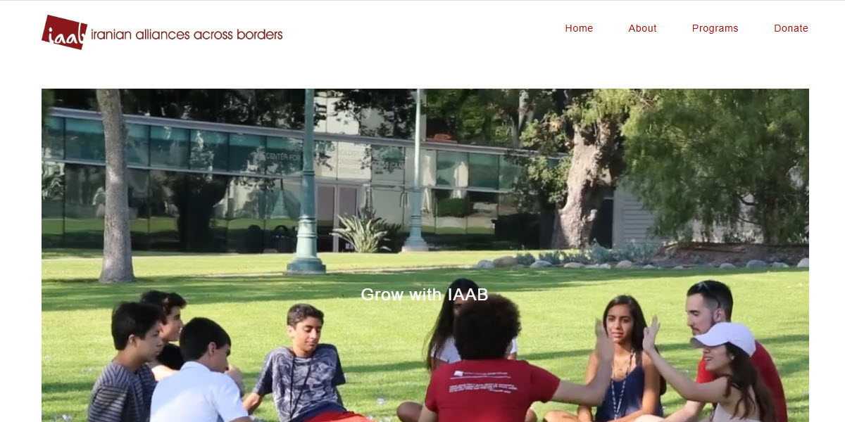 Iranian Alliances Across Borders