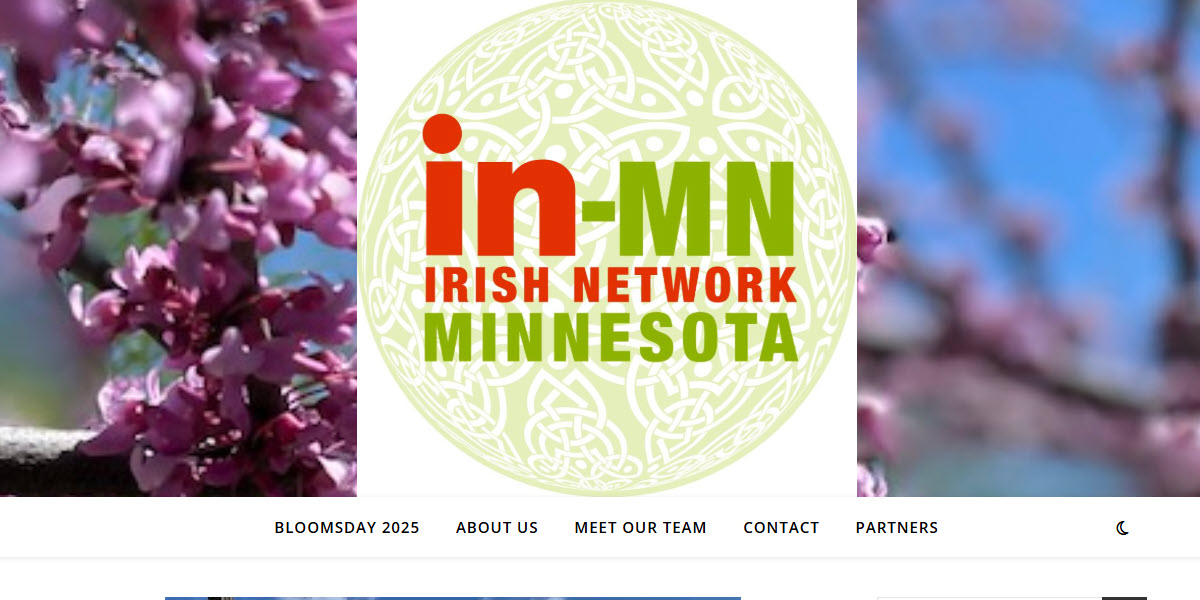 Irish Network Minnesota