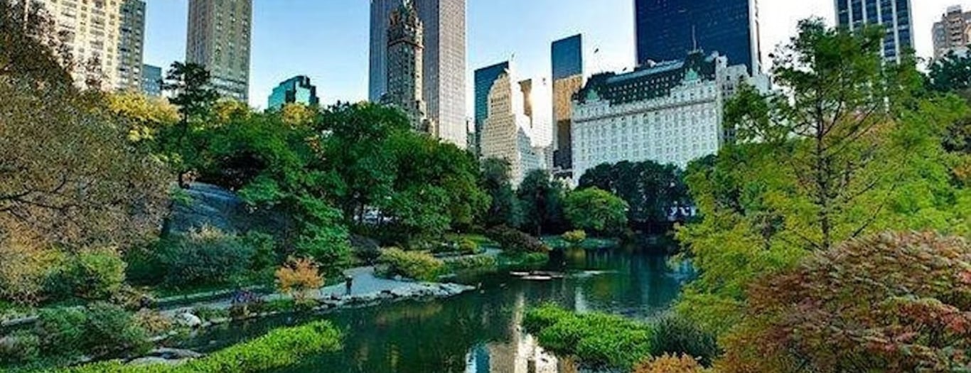 NYC Muslim Singles Matrimonial Event -  industry in New York NY