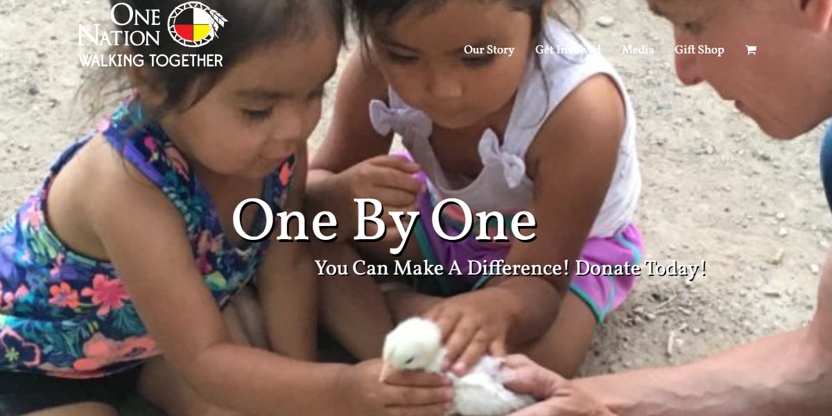 One Nation Walking Together cover image