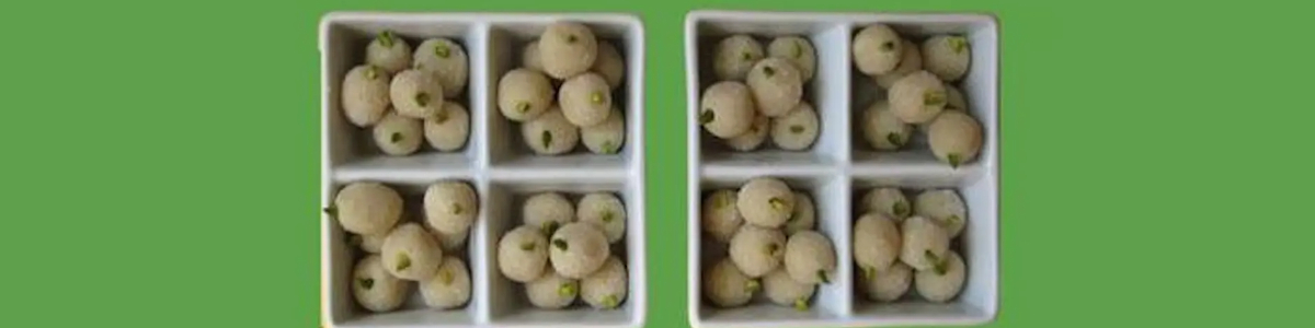 Persian Mulberry Sweets: A No-Bake Confectionery Class -  industry in Alexandria VA